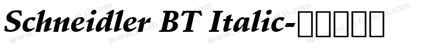 Schneidler BT Italic字体转换